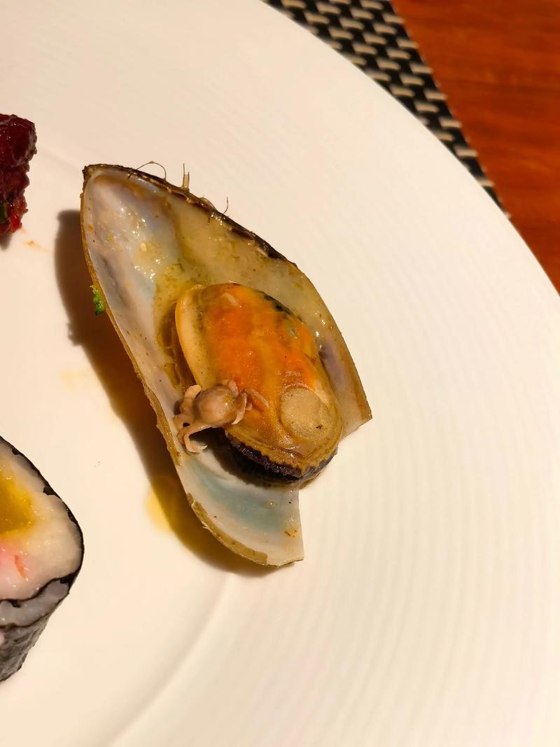 北京鲍鱼