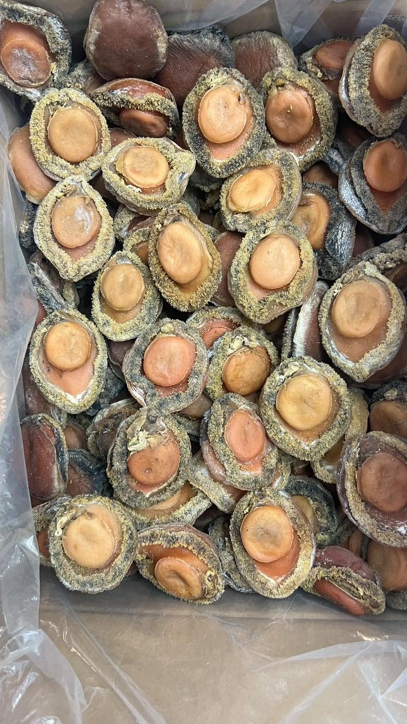 即食鲍鱼